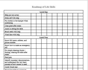 picture of Road Map of Life Skills document